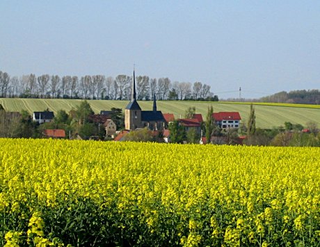 Blick auf die Gemeinde Tegkwitz