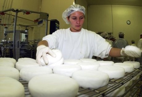 Making of goat's cheese